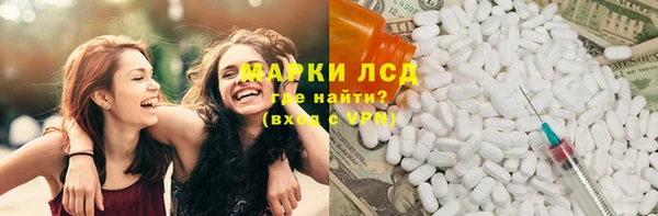 прущие грибы Алексеевка