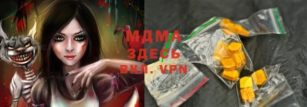 индика Пестово