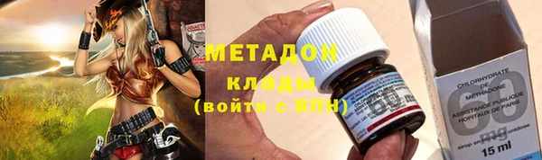 индика Пестово