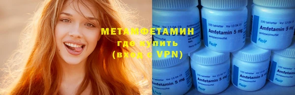 индика Пестово