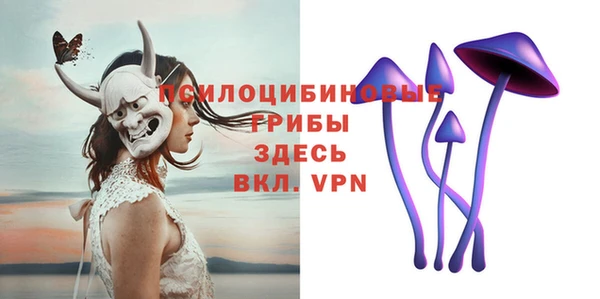 индика Пестово