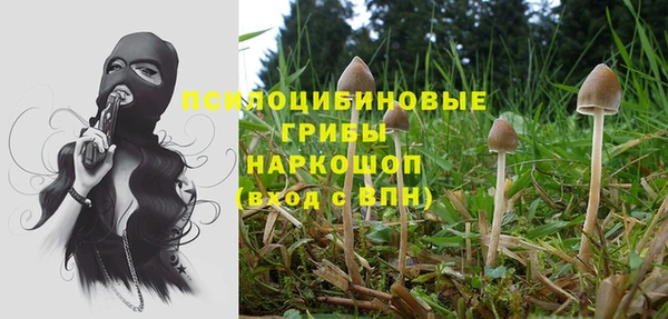 герыч Алексин
