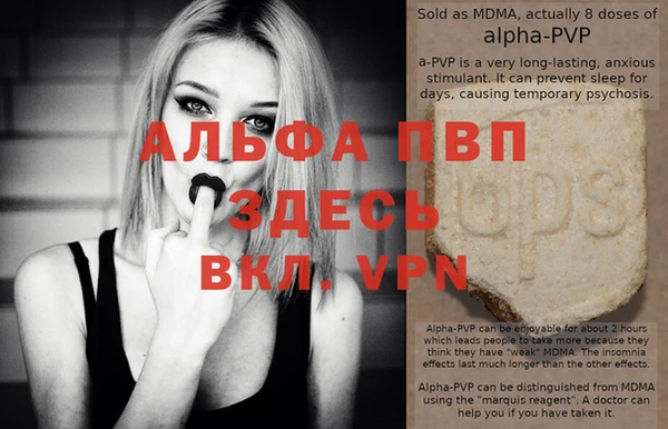 тгк Алзамай