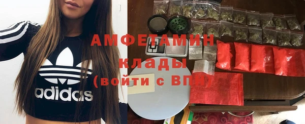 прущие грибы Алексеевка