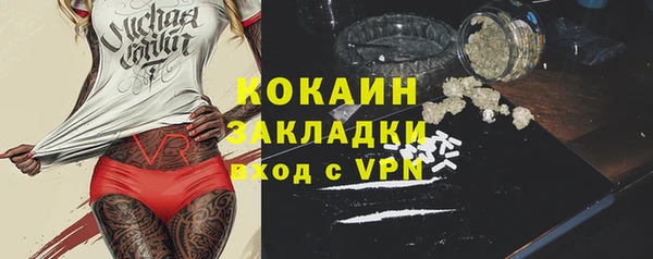 индика Пестово