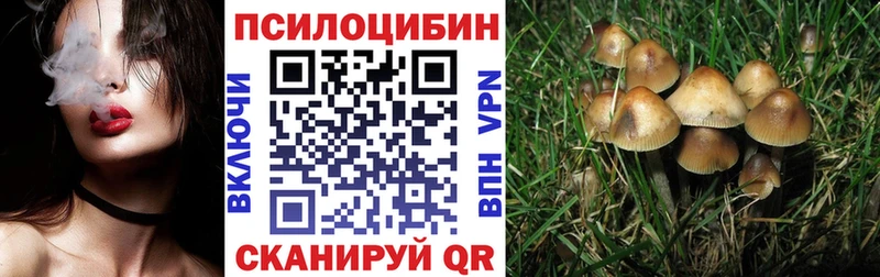 Псилоцибиновые грибы Magic Shrooms  blacksprut как зайти  сайты даркнета официальный сайт  как найти закладки  Ковылкино 